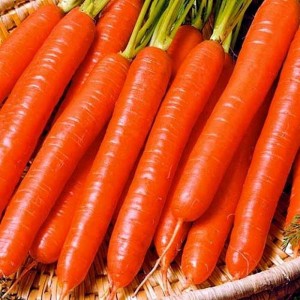 Морковь Витаминная 6 50 гр